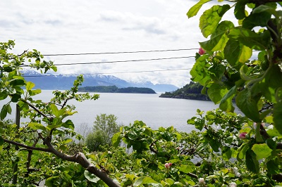 Aussicht-Hardangerfjord